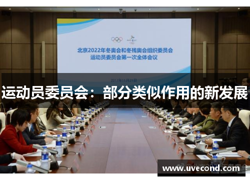 运动员委员会：部分类似作用的新发展